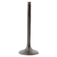 Auslassventil titan Prox 2844091