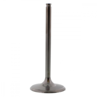 Einlassventil titan Prox 2864282