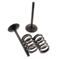 Ventil Satz Prox 28SES34081