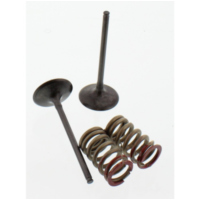 Ventil Satz Prox 28SIS43352