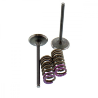 Ventil Satz Prox 28SIS13362