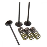 Ventil Satz Prox 28SIS24022