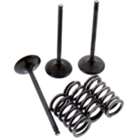 Ventil Satz Prox 28SIS24242