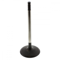 Einlassventil 111231