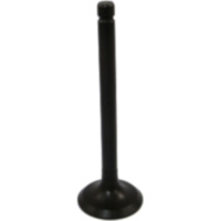 Auslassventil JMP BC50EK0002A