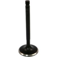 Einlassventil JMP BC50IK0003A