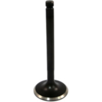 Auslassventil JMP BC50EY0003A