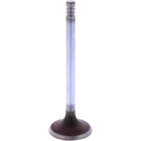 Einlassventil 1134091