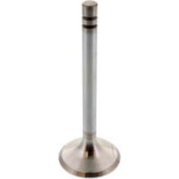 Auslassventil Siebenrock 1134472