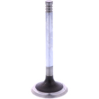 Auslassventil Siebenrock 1134837