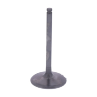 Einlassventil titan Prox 2824502