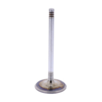 Einlassventil Originalersatzteil 1009521