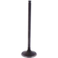 Einlassventil Originalersatzteil 1009571