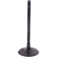 Einlassventil Originalersatzteil 1009752