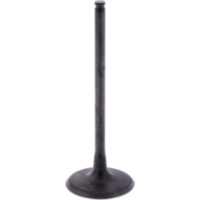 Einlassventil Originalersatzteil 1009761