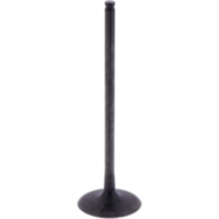 Einlassventil Originalersatzteil 1009775