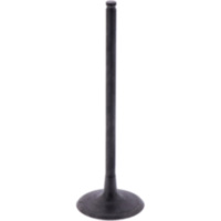 Einlassventil Originalersatzteil 1009777