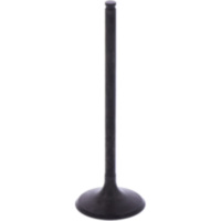 Einlassventil Originalersatzteil 1009778