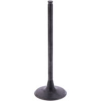 Einlassventil Originalersatzteil 1009779