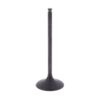 Einlassventil Originalersatzteil 1013087