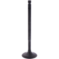 Einlassventil Originalersatzteil 1013088