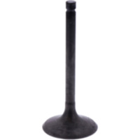 Einlassventil Originalersatzteil 1013121