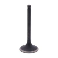 Einlassventil Originalersatzteil 1013130