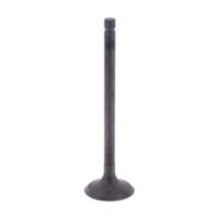 Einlassventil Originalersatzteil 1013138