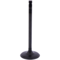 Einlassventil Originalersatzteil 1013180