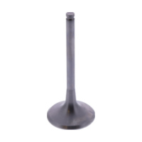 Auslassventil titan Prox 2844191