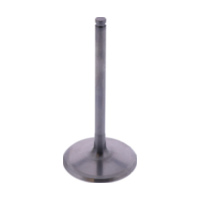 Einlassventil titan Prox 2844192