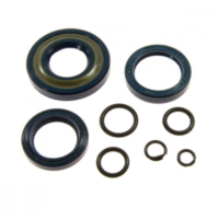 Simmering Wellendichtring Satz 6651