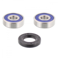 Radlager Satz komplett All Balls 251159