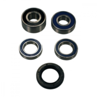 Radlager Satz komplett All Balls 251464