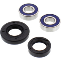 Radlager Satz komplett All Balls 251041