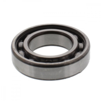 Kugellager 6006 C3 SKF