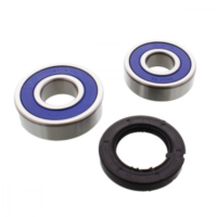 Radlager Satz komplett All Balls 251361