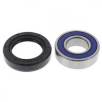 Lenkkopflager Satz unten All Balls