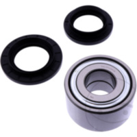 Radlager Satz All Balls Racing 251734