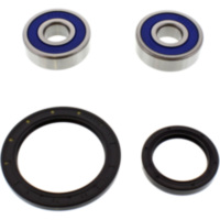 Radlager Satz komplett All Balls 251585