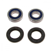 Radlager Satz komplett All Balls 251653