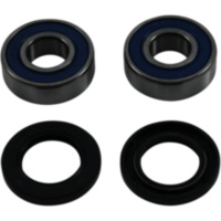 Radlager Satz komplett All Balls Racing 251794