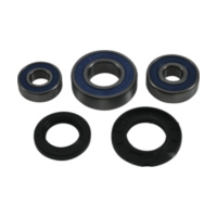 Radlager Satz komplett All Balls Racing 251795