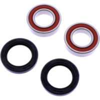 Radlager Satz komplett Tourmax WBK319