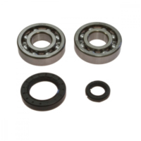 Kurbelwellenlager Satz All Balls 241004