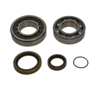 Kurbelwellenlager Satz All Balls 241098