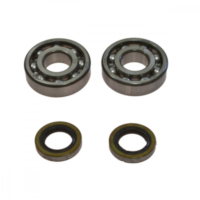 Kurbelwellenlager Satz All Balls 241044