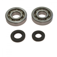 Kurbelwellenlager Satz All Balls 241047