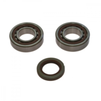 Kurbelwellenlager Satz All Balls 241106