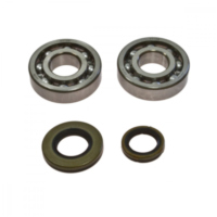 Kurbelwellenlager Satz All Balls 241046